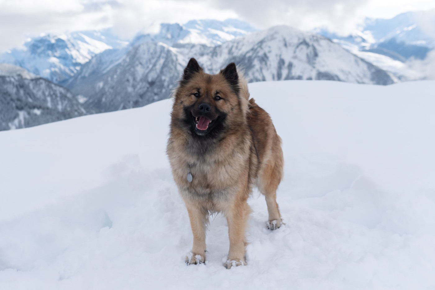 Ursae minoris des Contrées d'Herbeval