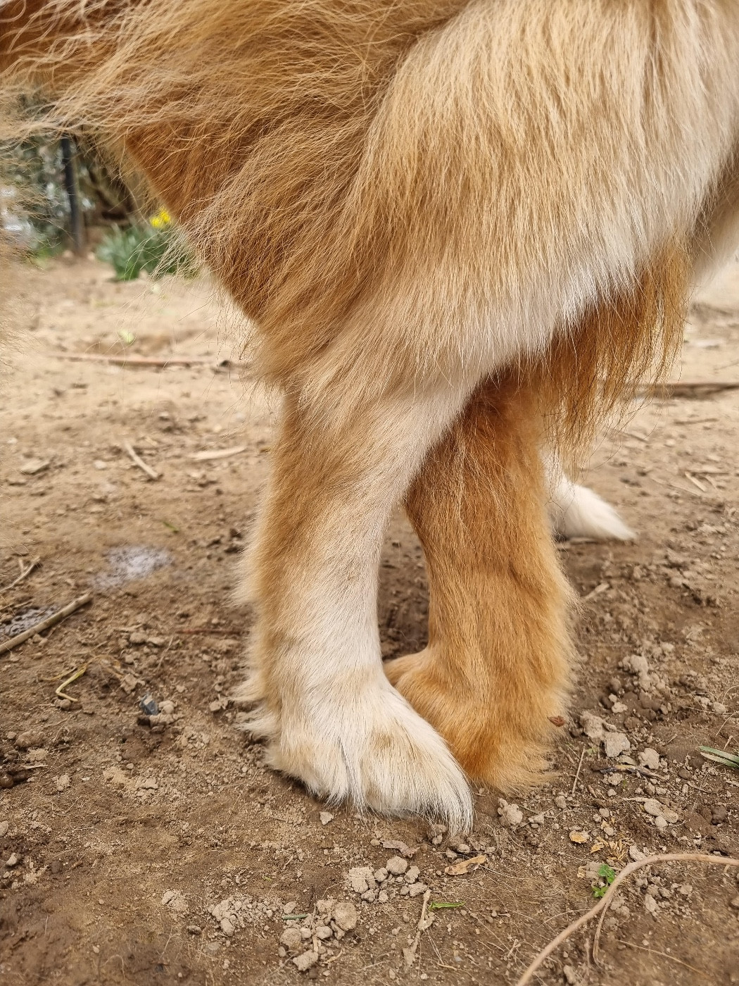 UKALI a rencontré son nouveau prétendant les 2&3 mars